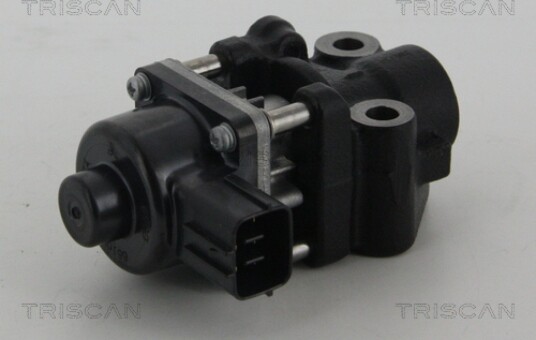 EGR Ventil TRISCAN 8813 10013