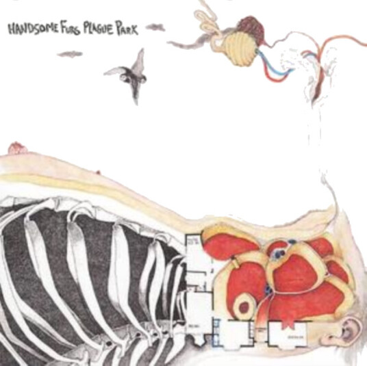 Handsome Furs Plague Park CD
