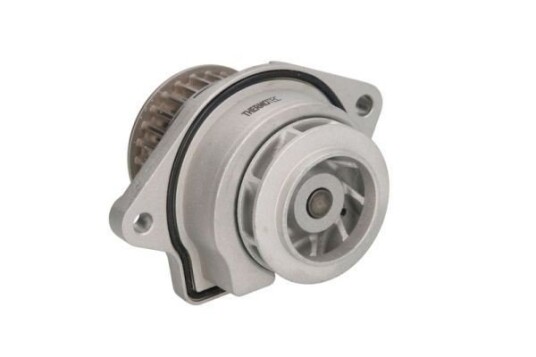 THERMOTEC D1W019TT Vannpumpe