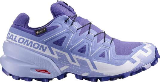 Salomon Speedcross 6 GTX Terrengløpesko Dame Lilla 36 2/3 Salomon Speedcross 6 GTX Terrengløpesko Dame Lilla 36 2/3