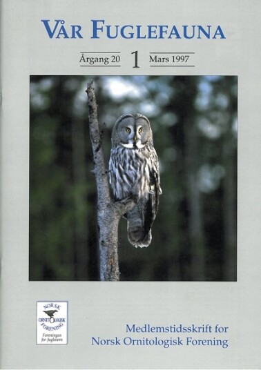 Norsk Ornitologisk Forening Vår Fuglefauna   1997 1 årgang 20
