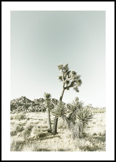 Joshua Tree National Park Vintage Impression Poster Plakat / 21x30cm
