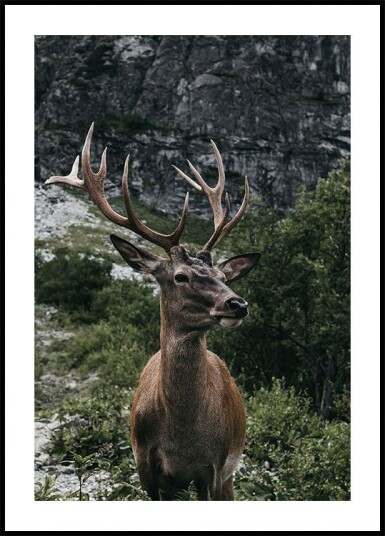 Deer and Mountains Plakat Plakat / 50x70cm Deer and Mountains Plakat Plakat / 50x70cm