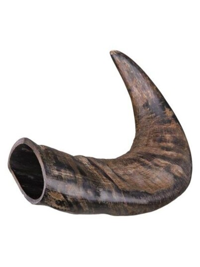 Trixie Buffalo Tyggehorn Medium – Naturlig Tyggebein til Hund Trixie Buffalo Tyggehorn Medium – Naturlig Tyggebein til Hund