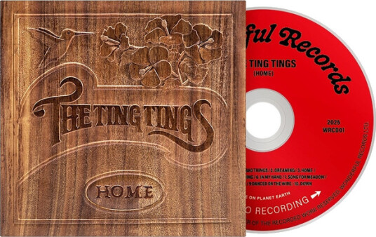 The Ting Tings Home CD