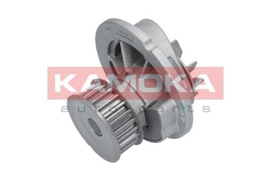 KAMOKA T0231 Vannpumpe