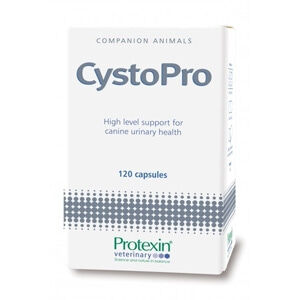 Protexin Cystopro (120 Tabl) Protexin Cystopro (120 Tabl)