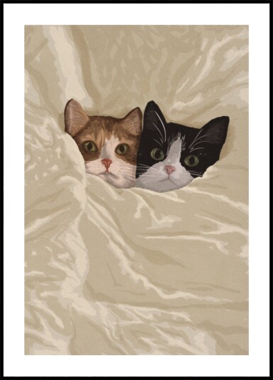Cozy Cats Peeking Out Plakat / 70x100