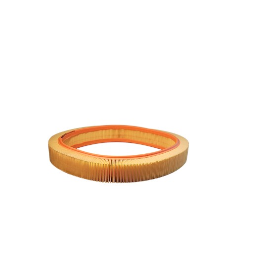 Luftfilter FILTRON AR 036/1 Luftfilter FILTRON AR 036/1