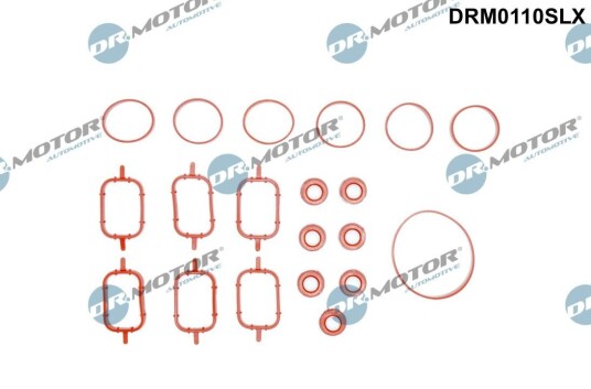 Pakkningssett innsugningsmanifold Dr.Motor Automotive DRM0110SLX