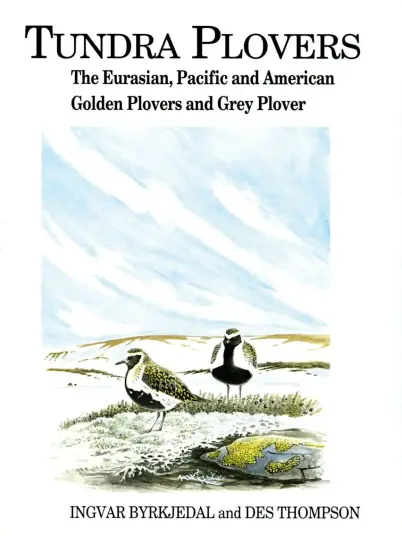 Tundra Plovers