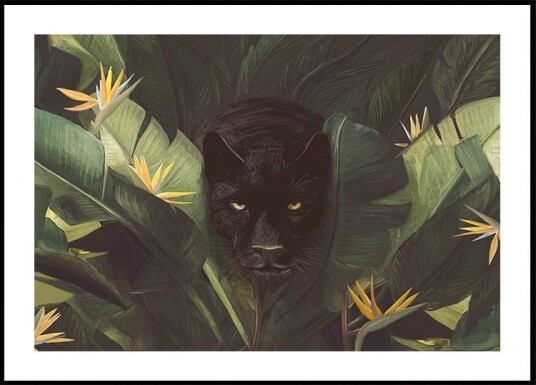 Black Panther Jungle Gaze Plakat Plakat / 50x70cm Black Panther Jungle Gaze Plakat Plakat / 50x70cm
