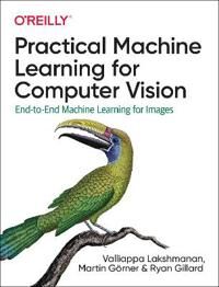 Practical Machine Learning For Computer Vision Av Valliappa Lakshmanan, Martin Goerner, Ryan Gillard