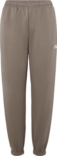 The North Face W Evolution Simple Dome Regular Pant Brown XS