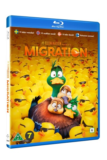 Migration Migration