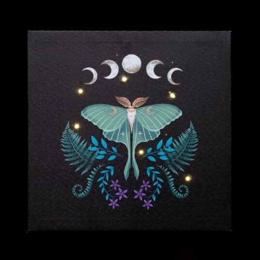 Something Different Canvas Luna Moth Light Up