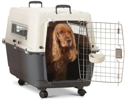 Savic Andes Transportbur Størrelse 5 med Hjul for Hund - Plast, Beige/Grå Savic Andes Transportbur Størrelse 5 med Hjul for Hund - Plast, Beige/Grå