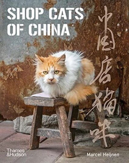 Shop Cats Of China Av Marcel Heijnen