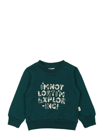 Petit Piao Ppdov Sweat Shirt Green 68