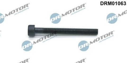 Bolt, innsprøytningsdyse holder Dr.Motor Automotive DRM01063