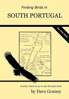 Finding Birds in South Portugal Finding Birds in South Portugal