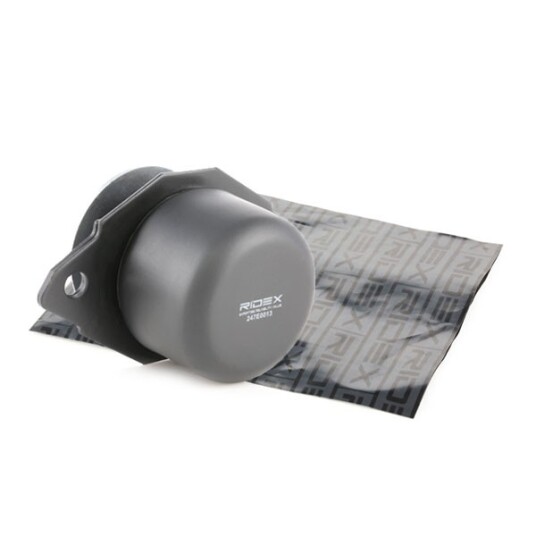 Motorfeste RIDEX 247E0013