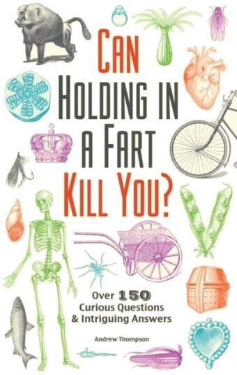 Can Holding In A Fart Kill You? Av Andrew Thompson Can Holding In A Fart Kill You? Av Andrew Thompson