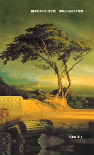 Brunnsgästen Av Hermann Hesse