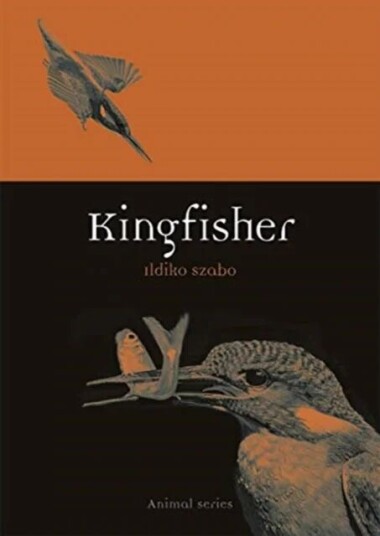 Kingfisher Av Ildiko Szabo