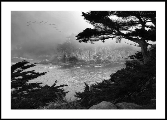 Foggy Morning Central Coast Plakat Plakat / 30x40cm Foggy Morning Central Coast Plakat Plakat / 30x40cm