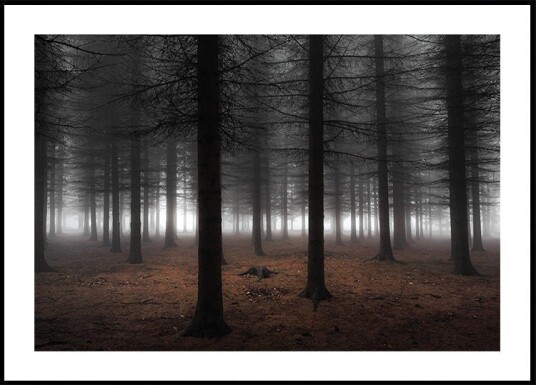 Silence Plakat / 50x70cm Silence Plakat / 50x70cm