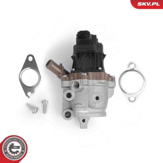 EGR Ventil ESEN SKV 14SKV313