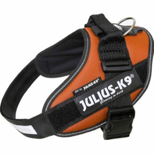 Julius-K9 IDC Sele Kobber