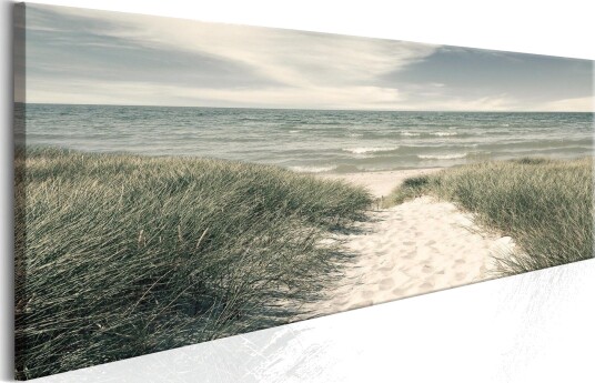 Tavle Secrets Of The Sea 120X40 Artgeist sp. z o. o.