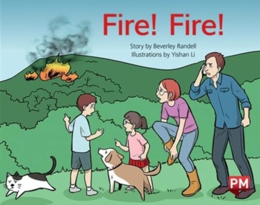 PM YELLOW FIRE FIRE PM STORYBOOKS LEVEL PM YELLOW FIRE FIRE PM STORYBOOKS LEVEL