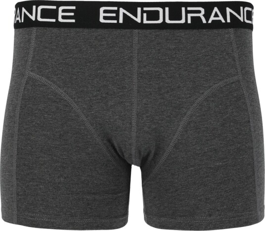 Endurance Norwich 1 pcs Boksershorts Grå S