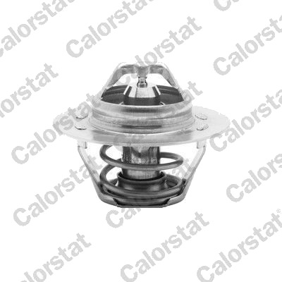 CALORSTAT by Vernet TH5108.75J Termostat, kjølemiddel