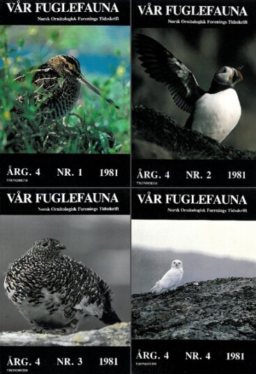 Norsk Ornitologisk Forening Vår Fuglefauna   1981  hele årgang 4