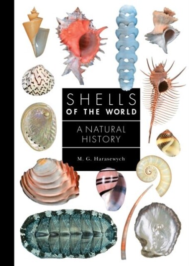 Shells of the World Shells of the World
