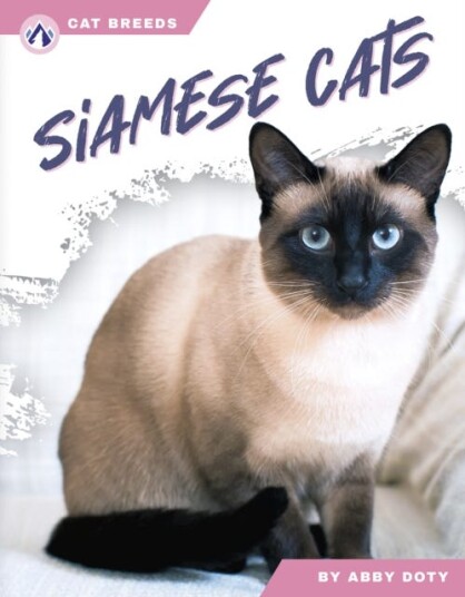 Cat Breeds: Siamese Cats Cat Breeds: Siamese Cats