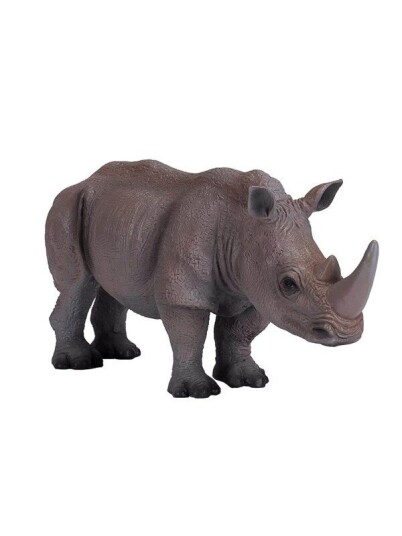 Mojo   Wildlife White Rhino