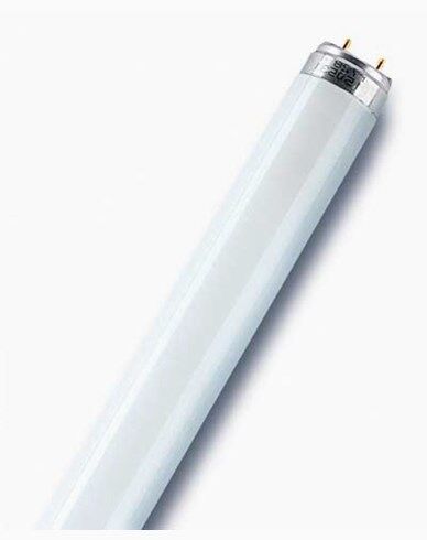 Osram T8 L 36W/830 Lumilux Warm White G13. 1200 mm Osram T8 L 36W/830 Lumilux Warm White G13. 1200 mm