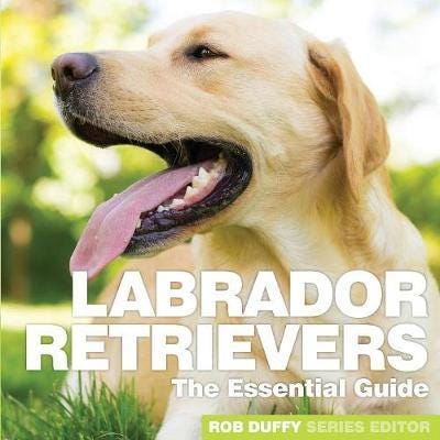 Labrador Retrievers Labrador Retrievers