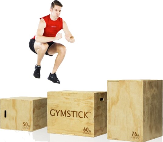 Gymstick Wooden Plyobox Gymstick Wooden Plyobox