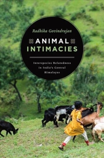 Animal Intimacies Av Radhika Govindrajan Animal Intimacies Av Radhika Govindrajan