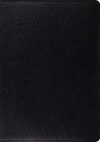 Esv Study Bible