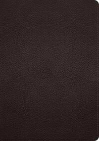ESV Study Bible ESV Study Bible