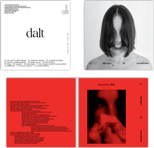 Lucrecia Dalt A Danger to Ourselves CD