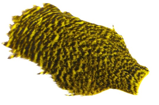 Whiting American Hen Cape Whiting American Hen Cape