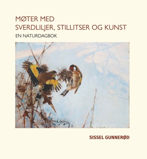 Møter med sverdliljer stillitser og kunst